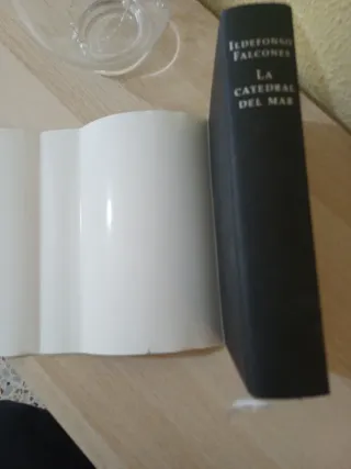 La catedral del Mar. Ildefonso Falcones