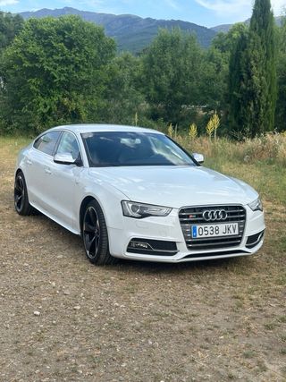 Audi S5 2013