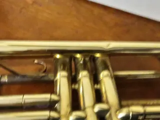 Trompeta Jupiter JTR 306