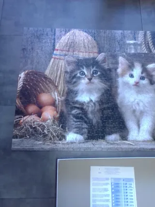 Puzzle Clementoni Gatitos 1000 Piezas