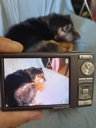 Cámara Olympus 10 MP, Zoom Óptico