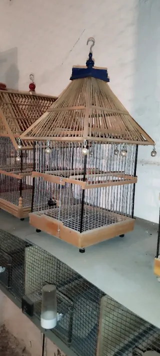 Jaulas para pájaros de madera