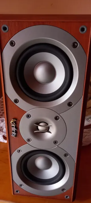 Altavoz Infinity Marrón y Gris