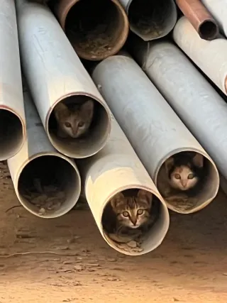 Camisa ZARA azul bebe de lino XL