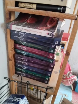 + 100 libros románticos