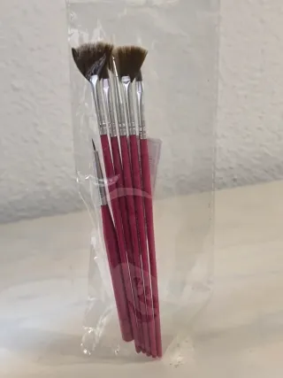 Set de 6 pinceles para pintura