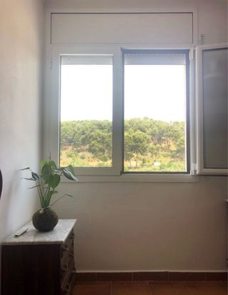 Servicios de pintura y pulido de suelos