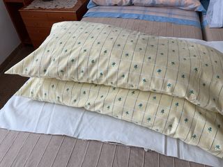 Dos cojines con fundas estampada A 5 cada uno