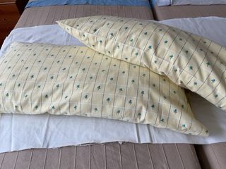 Dos cojines con fundas estampada A 5 cada uno