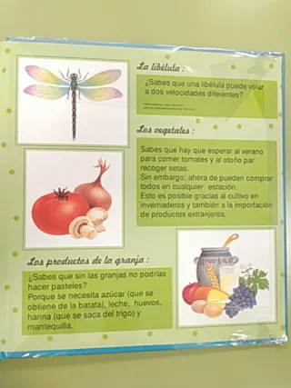 Libro infantil MARTA Y LAS ESTACIONES