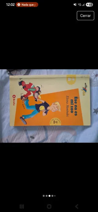 Lote de libros juveniles vintage entre 8 y 12 años