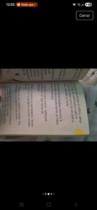 Lote de libros juveniles vintage entre 8 y 12 años