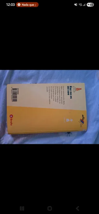 Lote de libros juveniles vintage entre 8 y 12 años