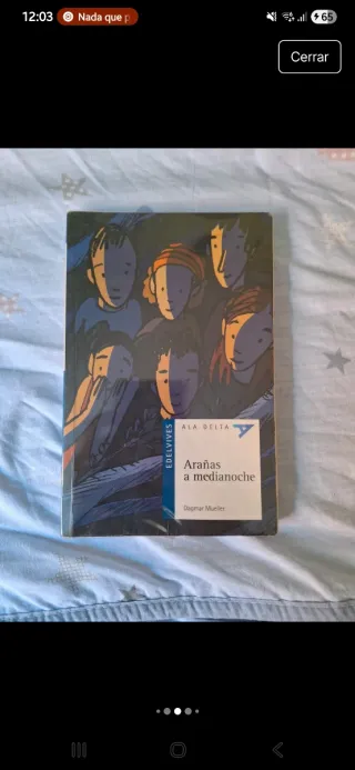 Lote de libros juveniles vintage entre 8 y 12 años