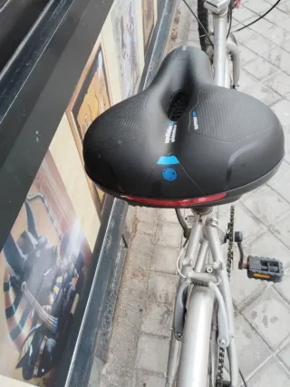 Bicicleta Plegable abanico