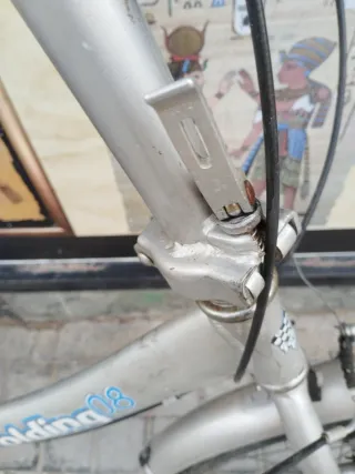 Bicicleta Plegable abanico