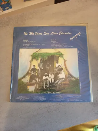 Vinilo No me pises que llevo chanclas