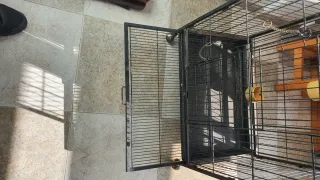 Jaula Grande para Mascotas