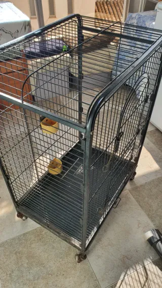 Jaula Grande para Mascotas