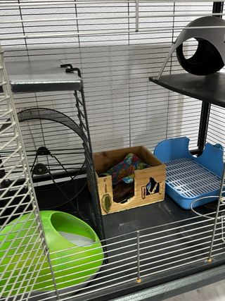 Jaula grande para roedores con rueda