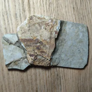 FOSIL DE PEZ EN PIEDRA