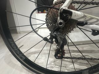 Bicicleta carretera trek