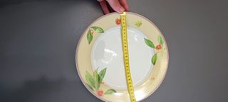 Set piatti Richard Ginori Laveno vintage anni 70