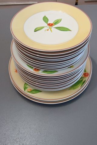 Set piatti Richard Ginori Laveno vintage anni 70