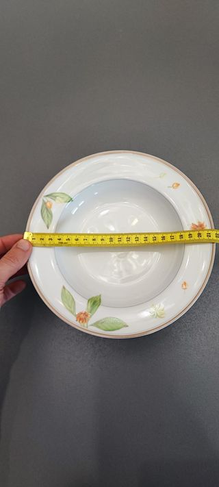 Set piatti Richard Ginori Laveno vintage anni 70