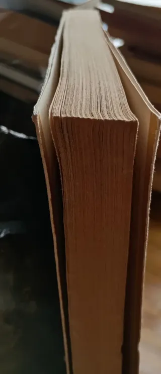 La función en la historia en "Cien años de soledad