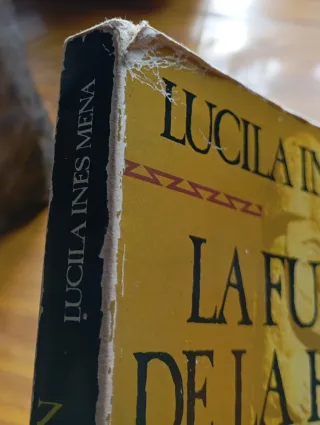 La función en la historia en "Cien años de soledad