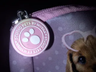 Neceser Studio Pets Perros