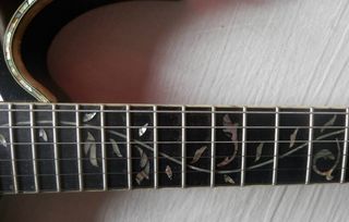 Ibanez Jem 10th Aniversario Guitarra