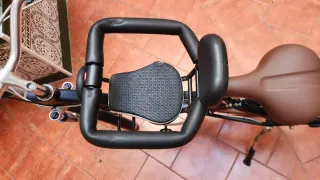 Silla bici bebé niño