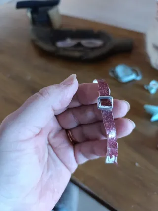 Lote Raquel Bratz: Stella, Maiale e Abbigliamento