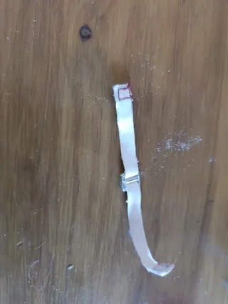 Lote Raquel Bratz: Stella, Maiale e Abbigliamento