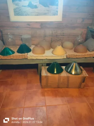 Tulipas de cristal italiano surtidas