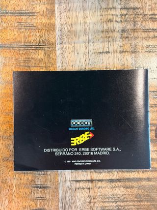 Prince Valiant Game Boy (Erbe)