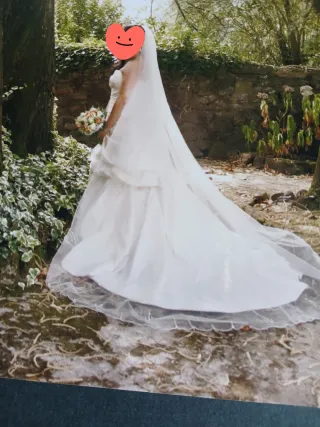 Vestido de Novia Pronovias,color champán