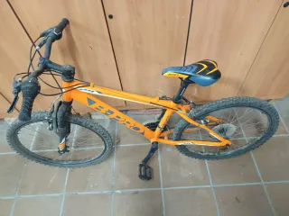 Bicicleta BPRO 24