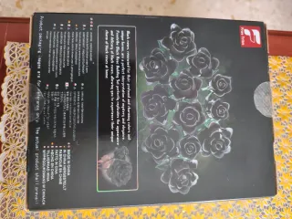 Juego de construcción Dark Kiss