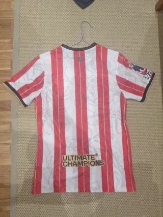 Camiseta Sheffield United Errea Randox
