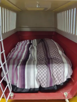 Transportín para mascotas