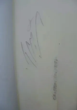 Tabla de Surf Shortboard Fish