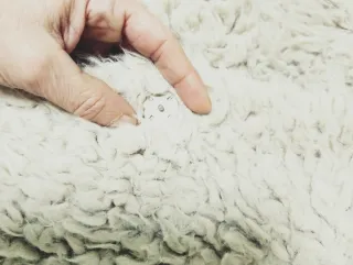 Chaqueta Zara Basic pelo gris talla única