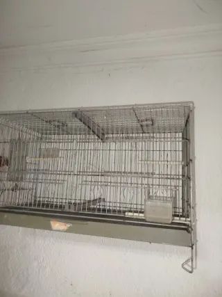 Jaula para pájaros 60x30x30 15e