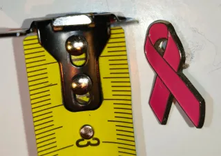 Lote 2 Pins Cáncer Mama Corazón Llama