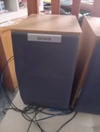 Altavoces Aiwa Marrones y Azules