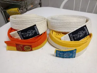 Traje de Yudo Domyos Blanco