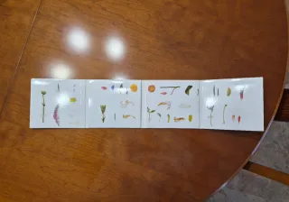 Morat - Disco 'Balas Perdidas' Edición Especial.